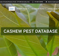 Cashew Pest Database